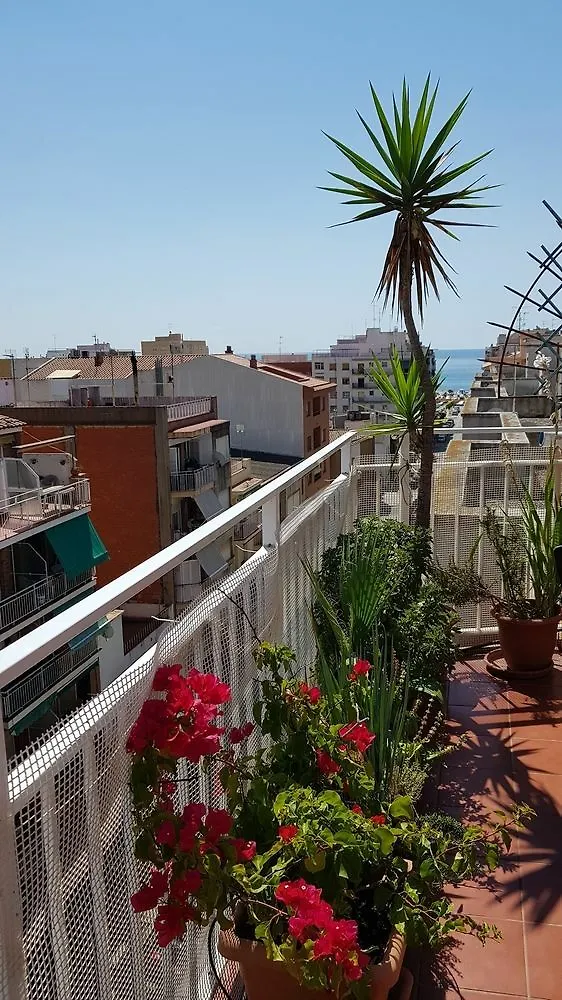 Apartamento Mediterraneo Pineda de Mar 0*,  Spain