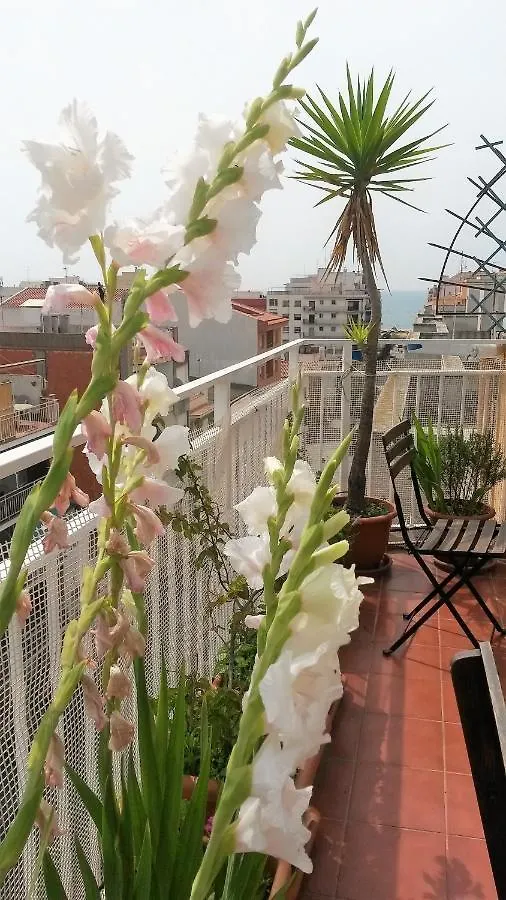 Apartamento Mediterraneo Pineda de Mar 0*,