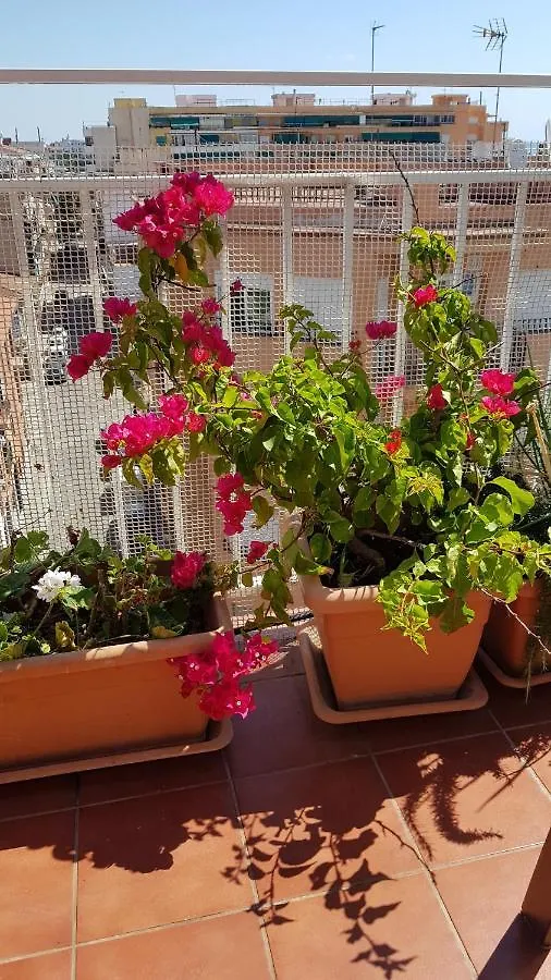 Apartamento Mediterraneo Pineda de Mar Spain